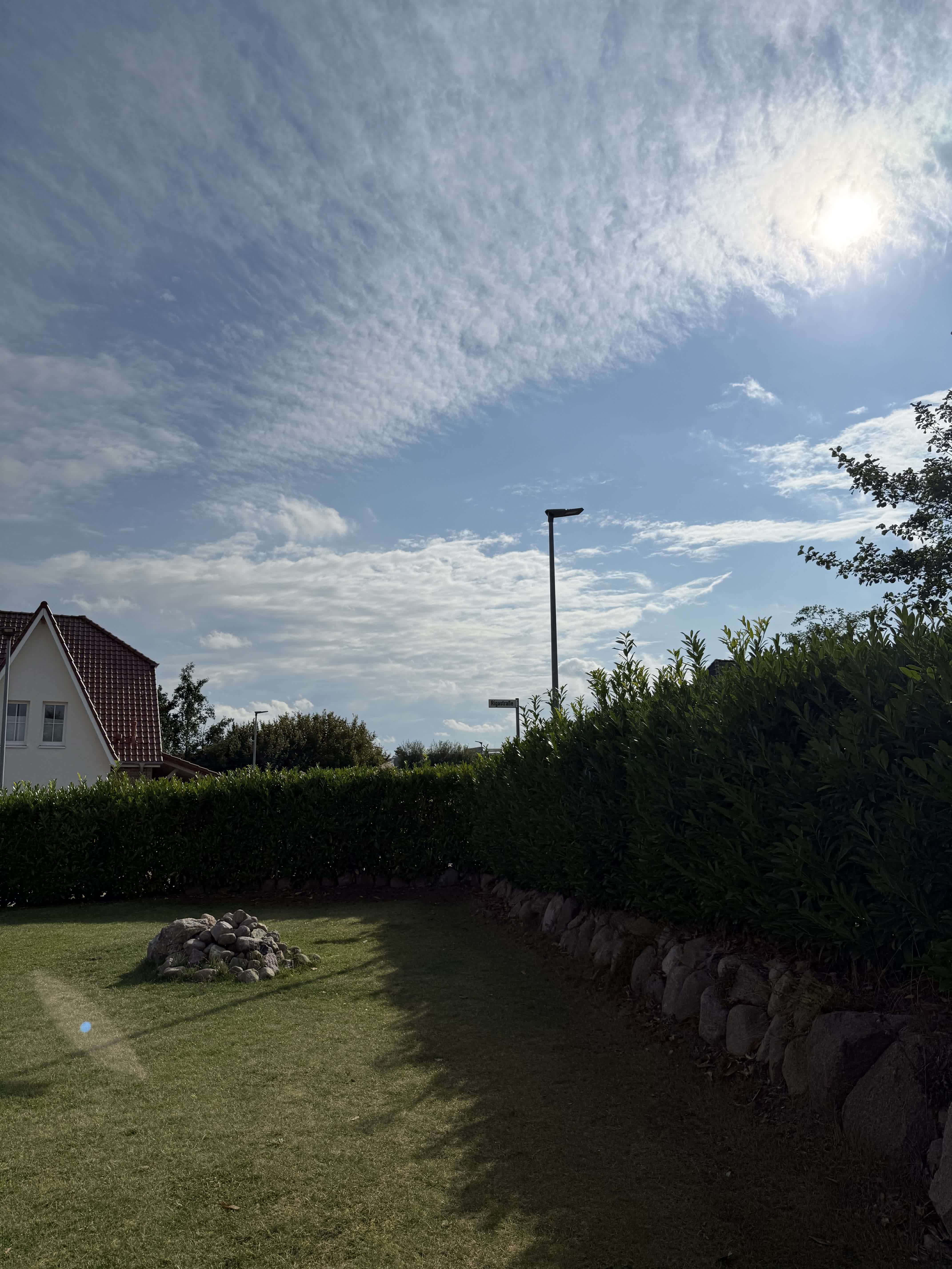 Heckenschnitt Vorher